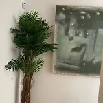 Nuevo Estudio En El Centro De - 11 Noches Minimo Lejlighed Dénia